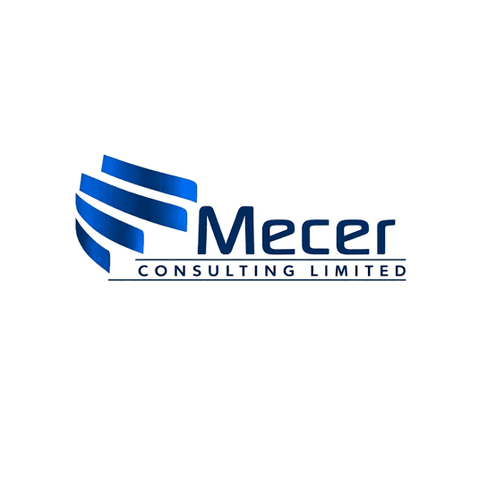 Mecer Consulting